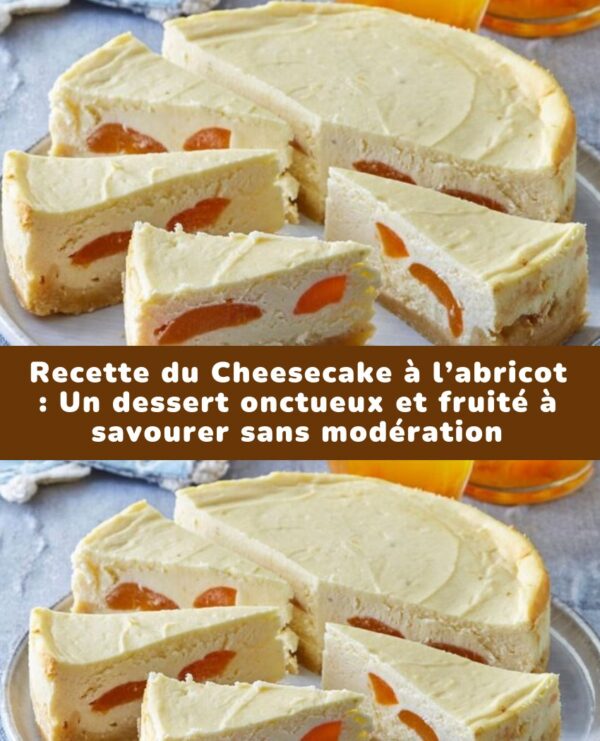 Recette du Cheesecake à l’abricot : Un dessert onctueux et fruité à savourer sans modération