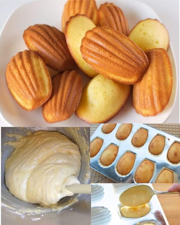 Recette les Madeleines Facile et Rapide