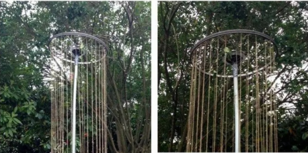 Redonner vie aux roues de vélo en jardinières uniques : Un guide de jardinage durable