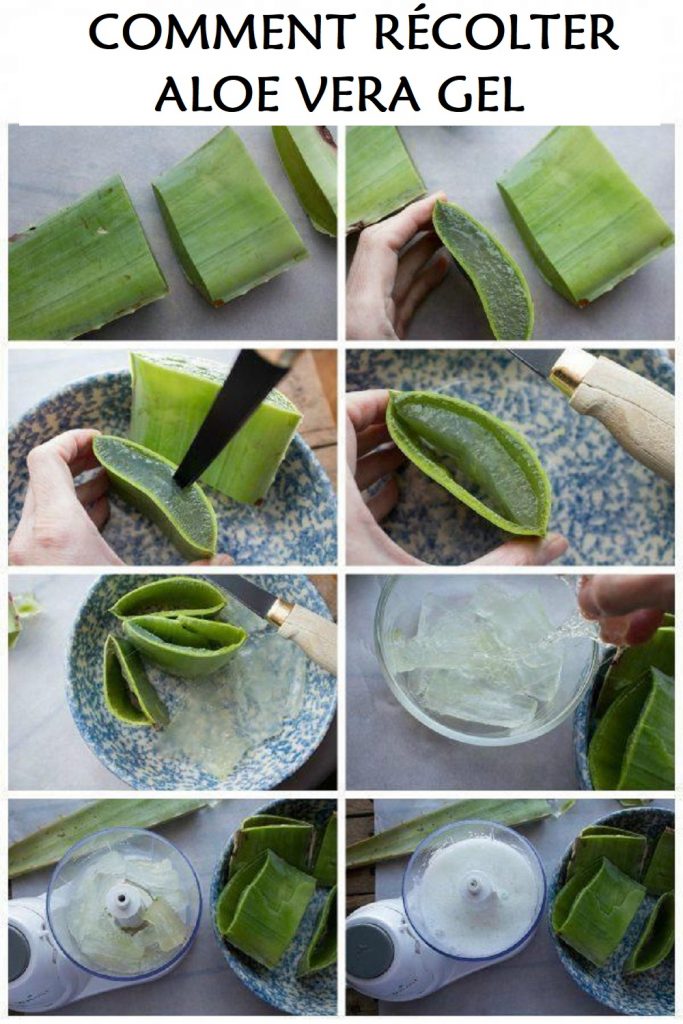 remèdes maison pour le nettoyage du côlon