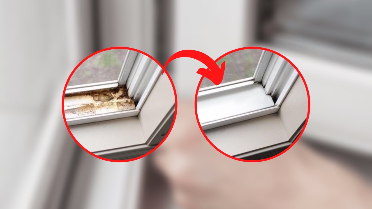 Spielpläne vorher und nachher