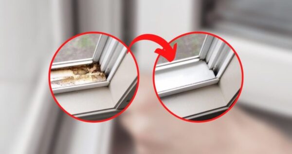 Robinetterie encrassée, comment éliminer les moisissures : voici le remède naturel