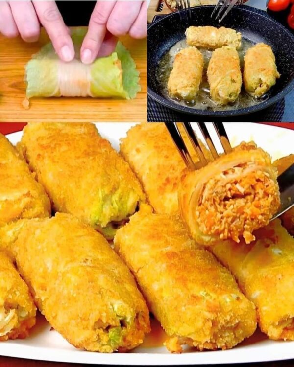 Rouleaux de choux farcis à l’ancienne – Ne perdez pas cette recette