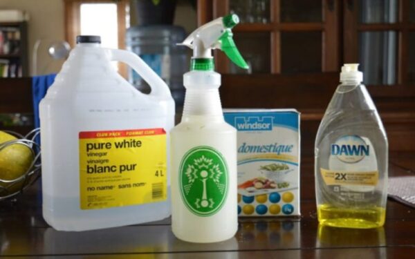 Savez vous comment faire un désherbant naturel et très efficace pour tuer les mauvaises herbes