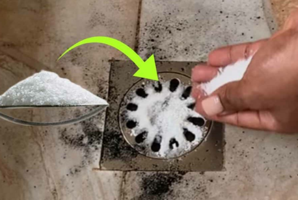 Sel : verse-le dans l’écoulement de la douche – quelque chose d’incroyable se produit | Le conseil du plombier