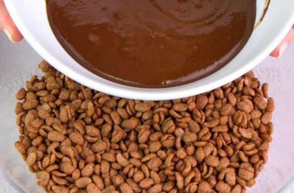 Tablettes de chocolat aux céréales : vous n’avez besoin que de 3 ingrédients pour les réaliser !