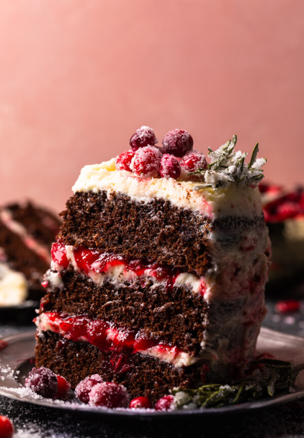 Tarte aux Canneberges et au Chocolat