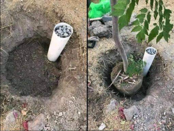 Technique D’arrosage Intelligente : Utiliser Des Tuyaux En PVC Pour Un Entretien Efficace Des Plantes