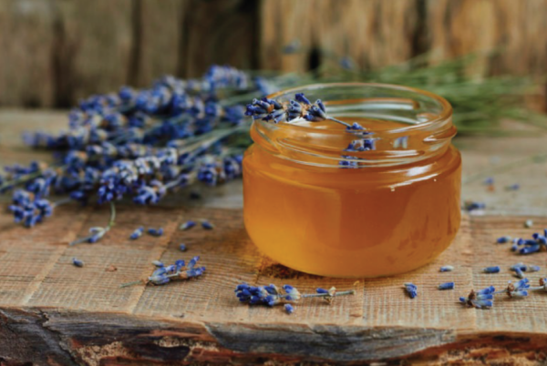 Tisane de lavande et de miel, une tisane réconfortante