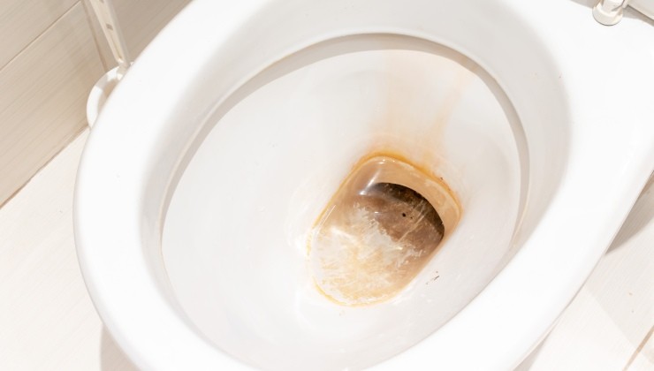 Toilettes sales - voici comment les rendre propres avec des produits naturels