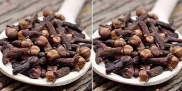Toutes les Femmes Devraient Connaître ces 7 Astuces avec le Clou de Girofle