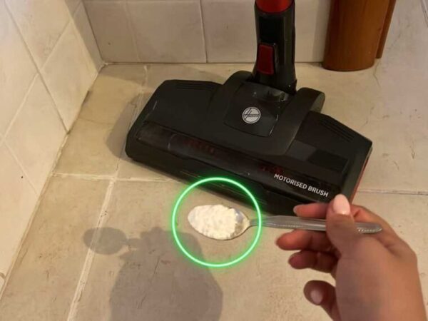 UNE POIGNÉE ET VOUS PARFUMEZ TOUTE LA MAISON EN 5 MINUTES : MÊME LES VOISINS LE SENTIRONT