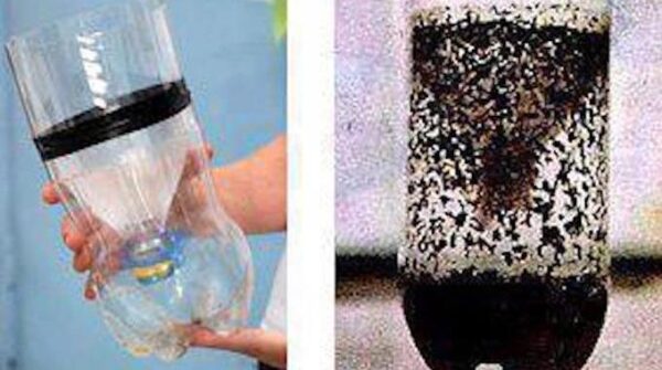 Un Piège à Moustiques Fait Maison Qui Marche Vraiment.