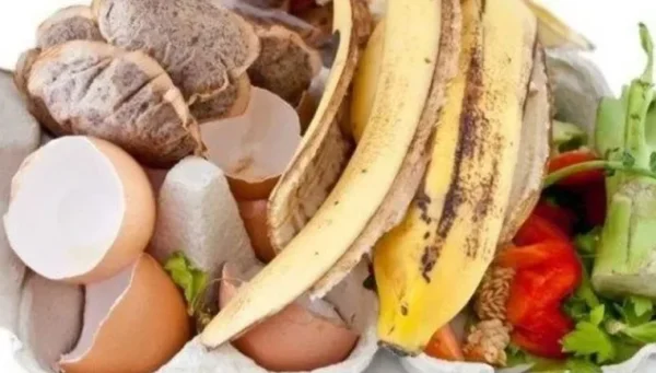 Un engrais super efficace pour les plantes et les fleurs : découvrez comment le fabriquer à partir de déchets !