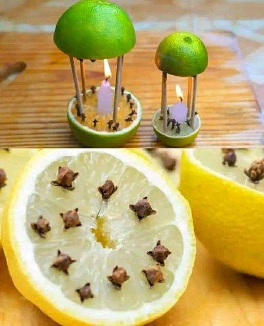 Un remède parfumé pour éloigner les moustiques de votre maison à jamais