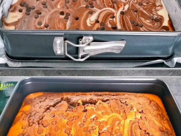 Uncategorized GÂTEAU ZÈBRE AUX PÉPITES DE CHOCOLAT