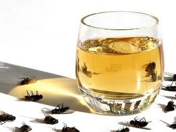 Une ancienne astuce qui élimine les mouches et les cafards de la maison