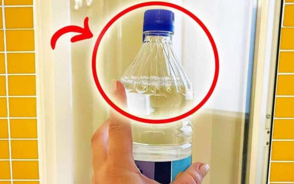 Une bouteille de vinaigre blanc suffit pour résoudre 4 problèmes à la maison
