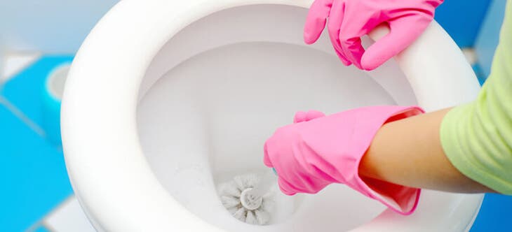 Nettoyer la cuvette avec une brosse WC