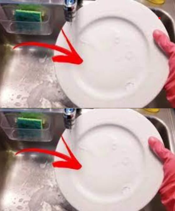 Utiliser l’eau de Javel pour laver la vaisselle : est-ce possible ?