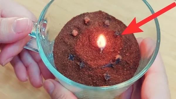 VEJA COMO TIRAR MOSCAS E BARATAS DE SUA CASA EM MENOS DE 10 MINUTOS