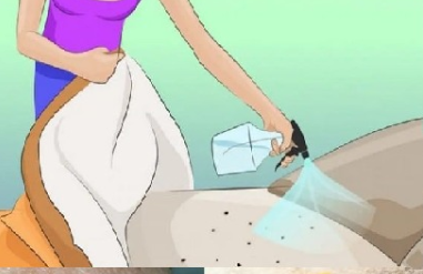 Vaporisez de l’alcool dans votre lit pour tuer les punaises de lit