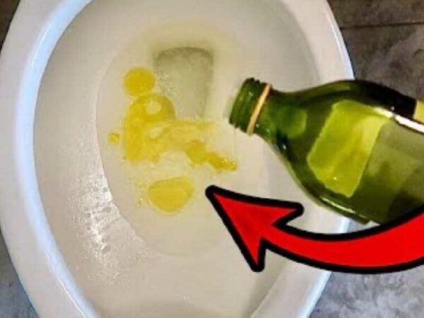 Versez de l’huile d’olive dans les toilettes : vous n’en croirez pas vos yeux !