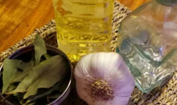 Versez l’ail et les feuilles de laurier dans un verre d’eau le soir, voyez ce qui se passe le lendemain