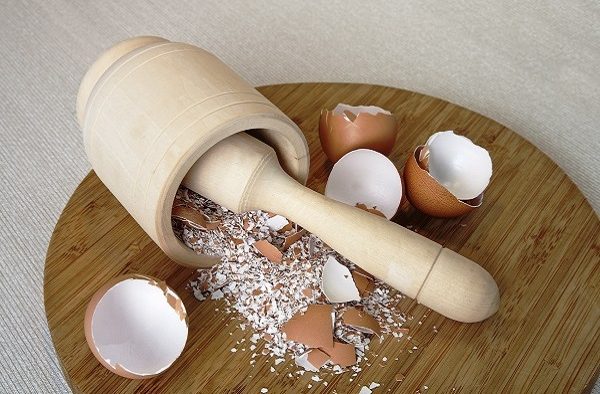 Voici ce que Vous Pouvez Faire avec les Coquilles d’œufs