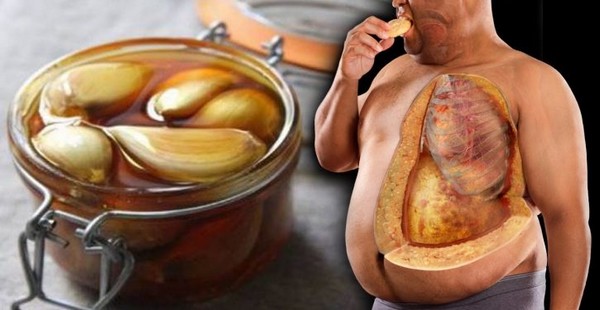 Voici ce qui Arrive à Votre Corps, Si vous Mangez de l’Ail et du Miel à Jeun Pendant 7 jours