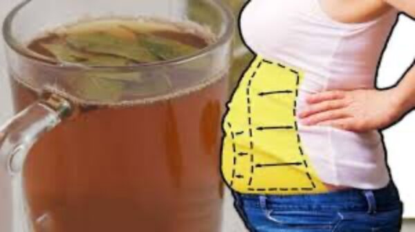 Voici comment préparer les feuilles de laurier en infusion pour maigrir et faire brûler les graisses