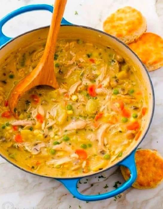 Voici la soupe brûleuse de graisses qui peermet de perdre 4 Kg en une semaine