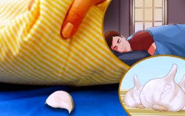 Voici pourquoi il faudrait placer une gousse d’ail sous votre oreiller