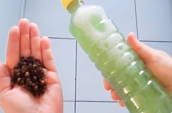 Votre chien ou votre chat cessera d’uriner dans la maison après cette étape.