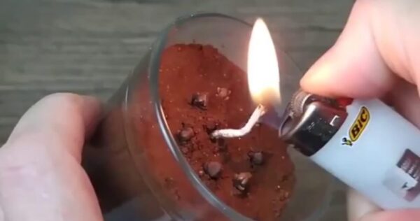 Vous ne verrez plus aucun type d’insecte dans votre maison 15 secondes après avoir fait cela