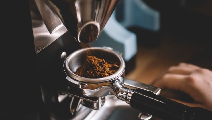 Pose de café pour éloigner l'insecte