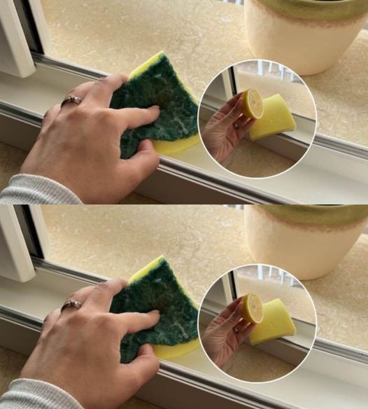 Vous ne verrez plus de saleté entre les fissures des fenêtres avec la technique de l’éponge