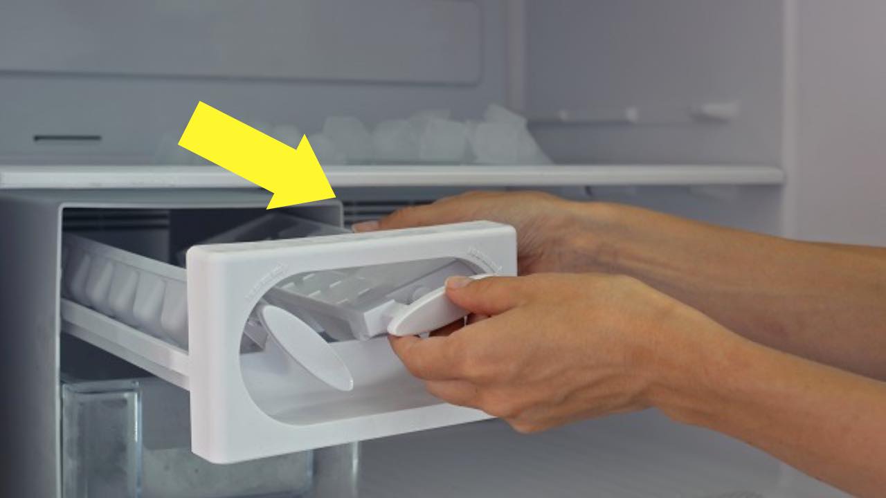 bouton dans le congélateur