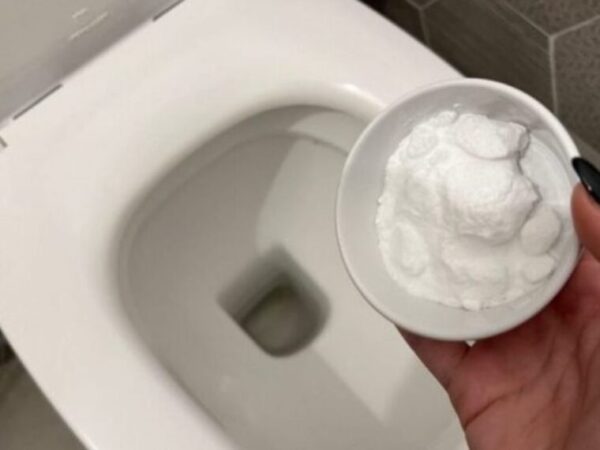 WC, le détartrant naturel le plus puissant : une poignée suffit