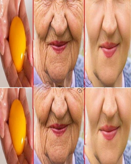 Astuces Pour Faire Fleurir L’arbre De Jade Et Embellir La Maison