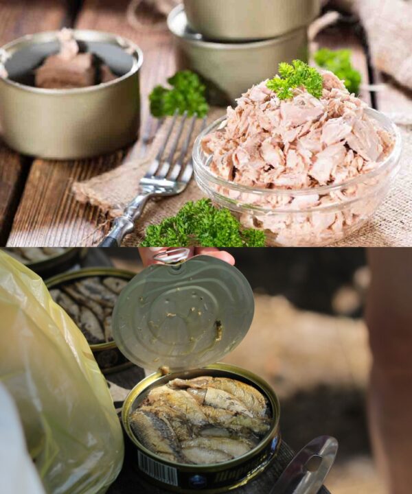 Comment conserver une boîte de thon ouverte en toute sécurité ? Ne fais pas d’erreur!