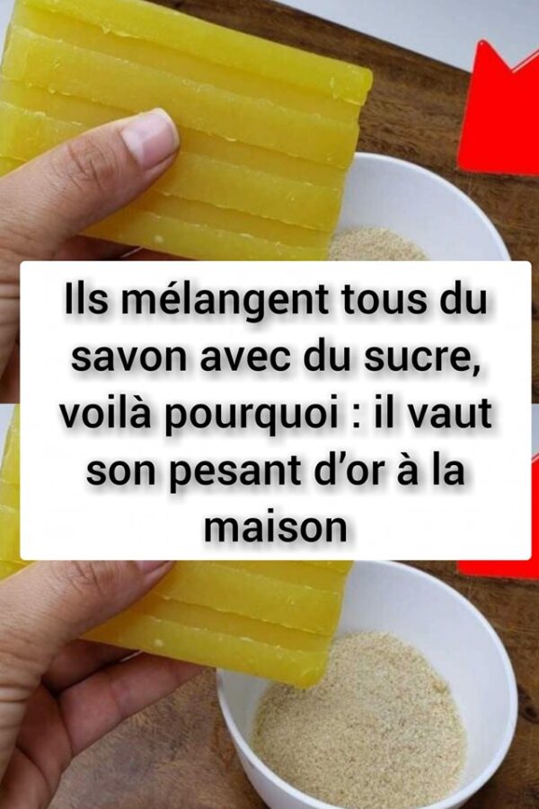 Ils mélangent tous du savon avec du sucre, voilà pourquoi : il vaut son pesant d’or à la maison