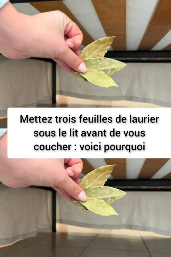 Mettez trois feuilles de laurier sous le lit avant de vous coucher : voici pourquoi