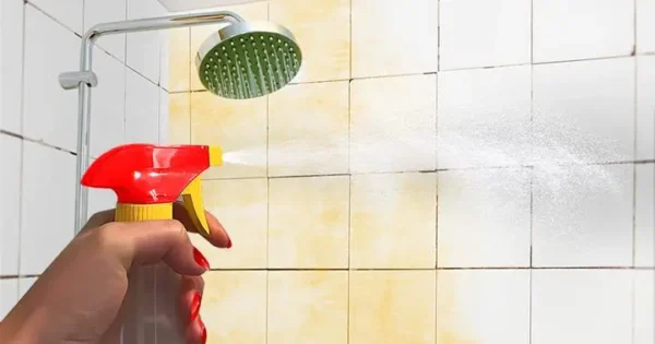 5 tips for cleaning the bathroom and sanitary tiles