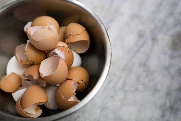 6 reasons why you should NOT throw away eggshells