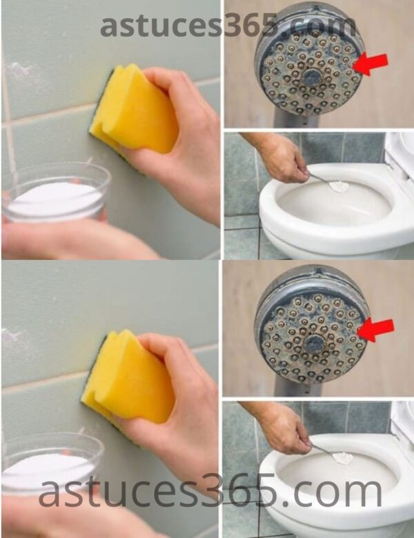 7 Tips for Having a Perfectly Clean Bathroom