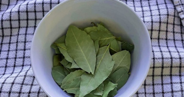 7 things you can do if you have bay leaves at home
