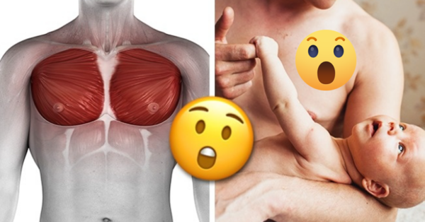 8 Facts We Never Knew About the Male Body. N0.4 (Female origins) Is So Amazing