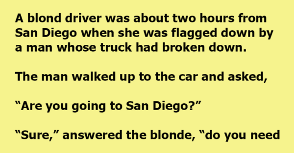 A Blond Driver Was Asked To Take Chimpanzees To The Zoo