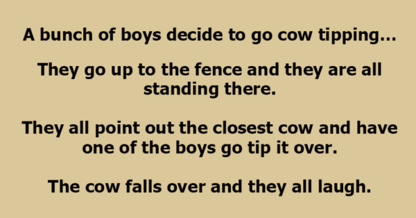 A Bunch Of Boys Decide To Go Cow Tipping